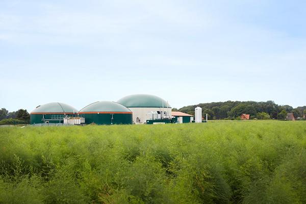 Impianti di biogas Deblinghausen