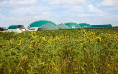 Impianti di biogas Redefin